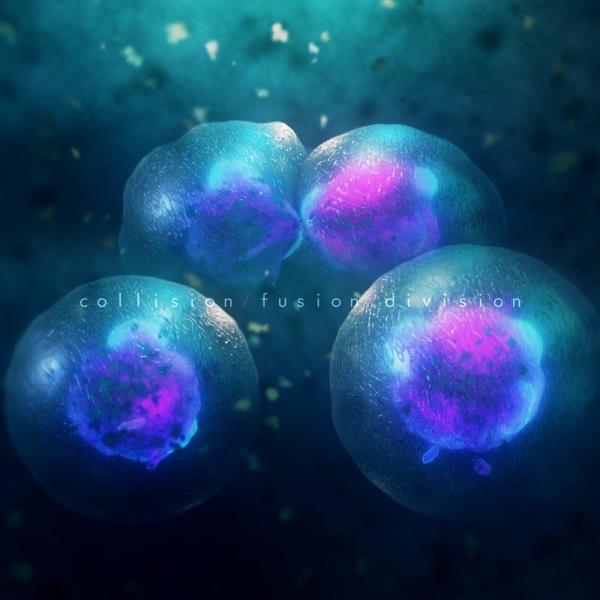 collision/fusion/division
